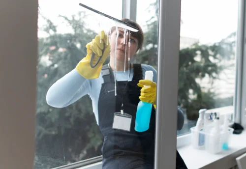 Nettoyage de vitres intérieures et extérieures à Châteaudouble